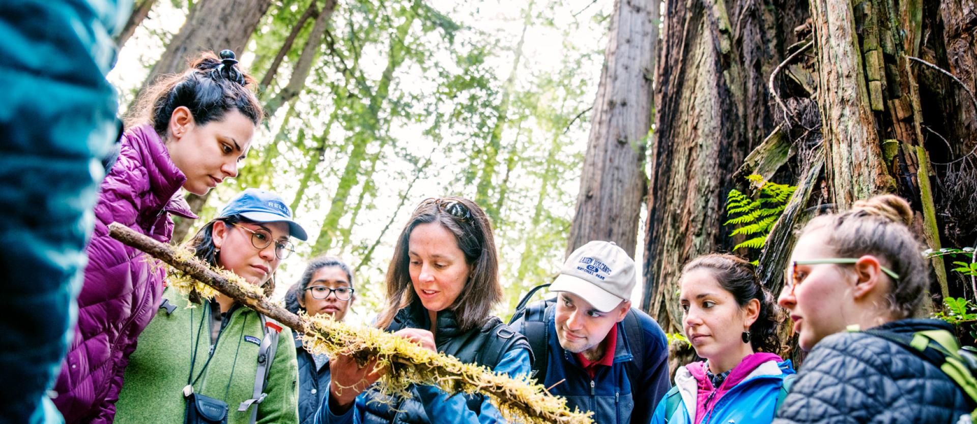 a professor and many students inspecting a branch in the forest