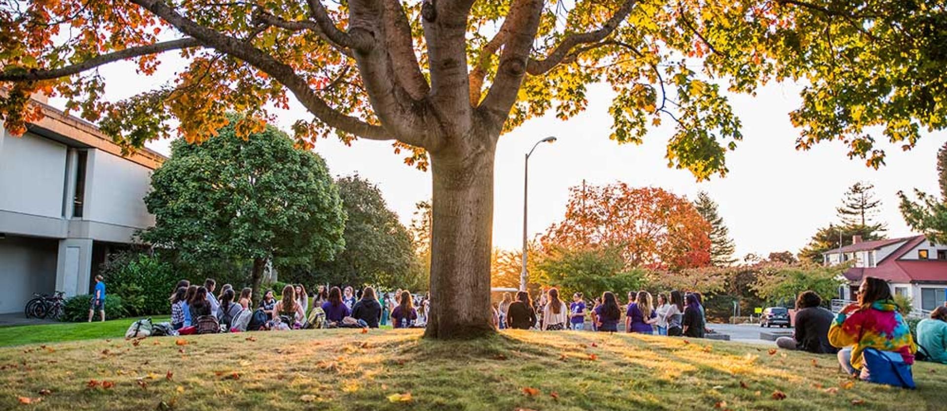 Fall colors at Library Circle