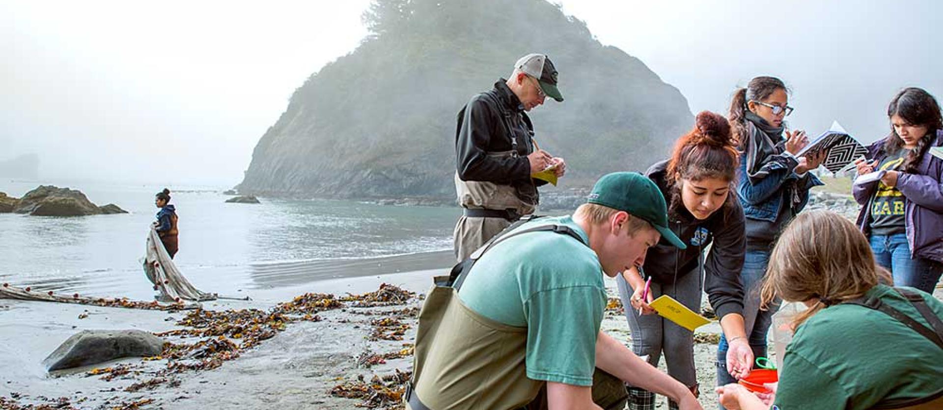 Ichthyology research at Trinidad beach