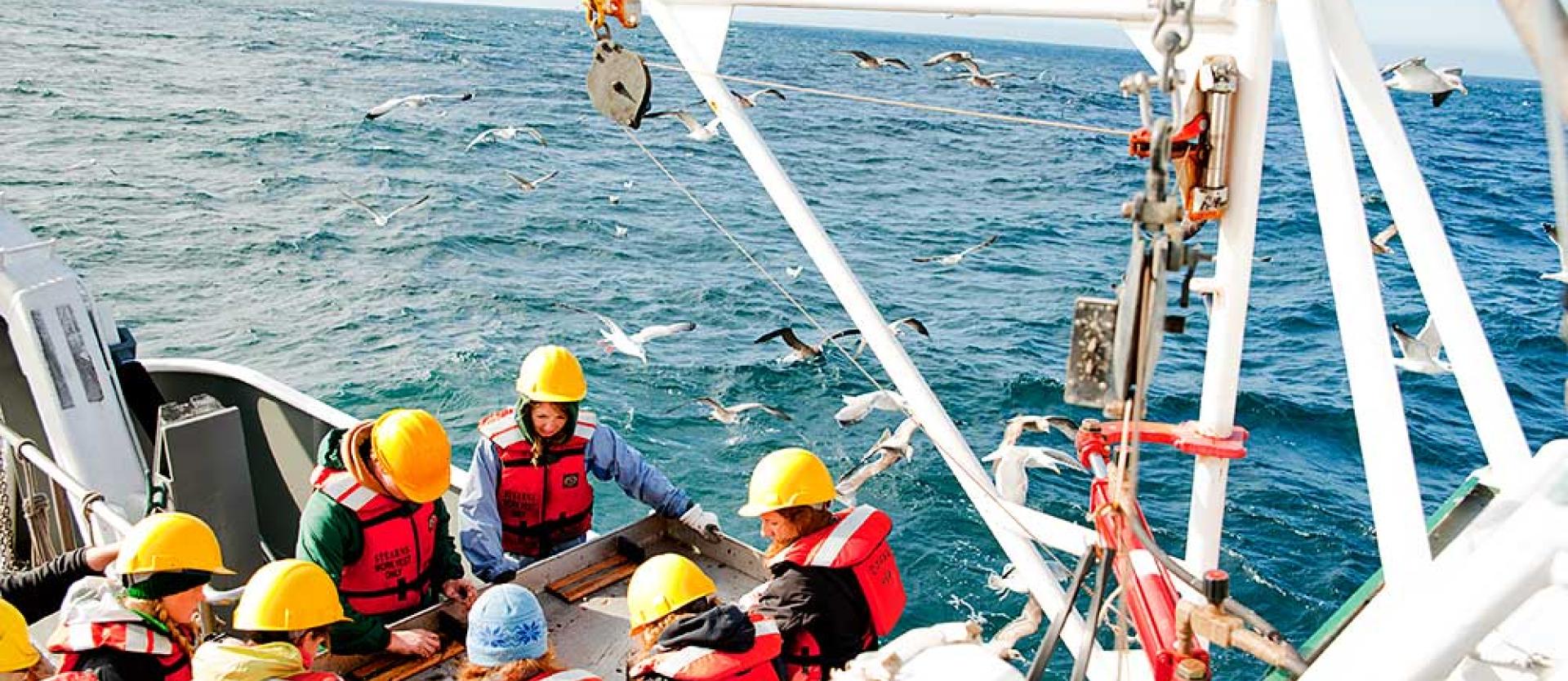 Undergraduate research aboard the Coral Sea, Humboldt's 90-foot research vessel