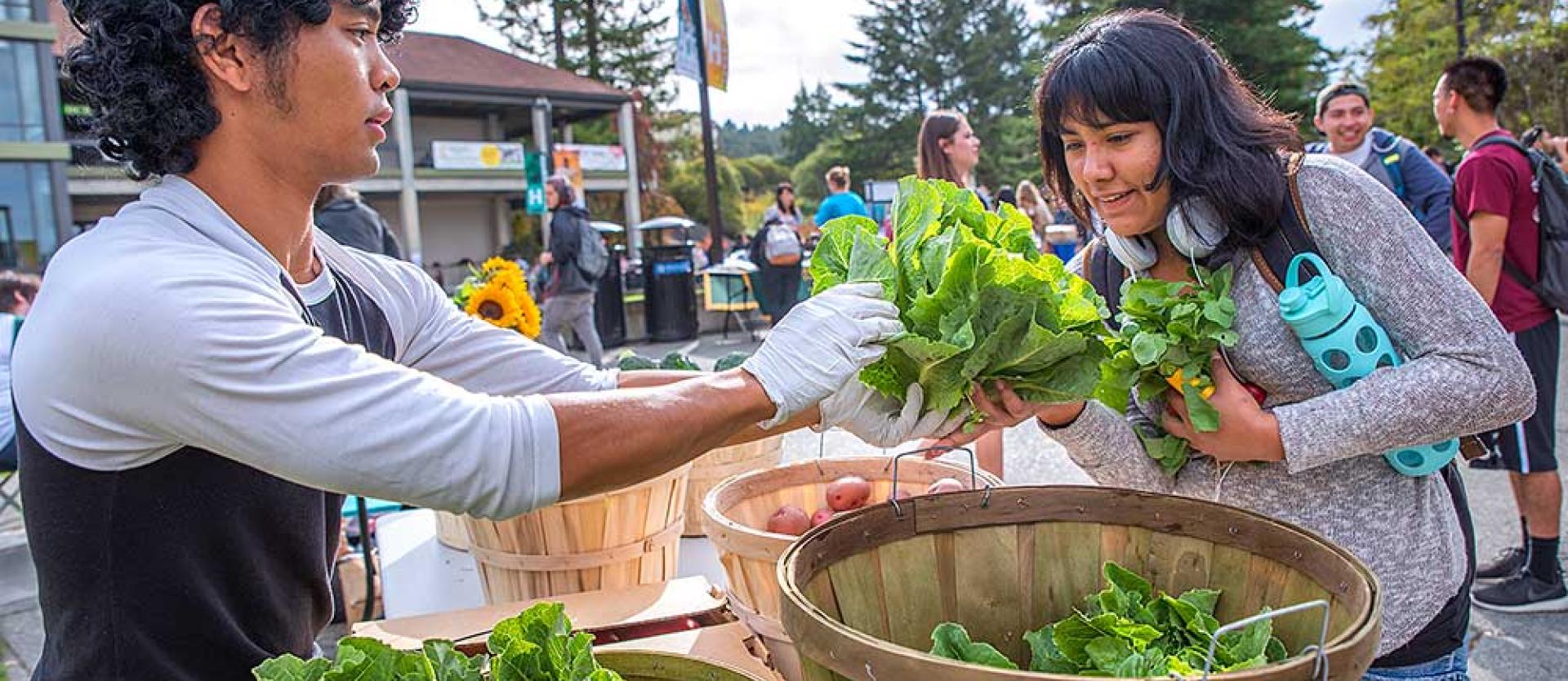 Humboldt Farm Stand on UC quad