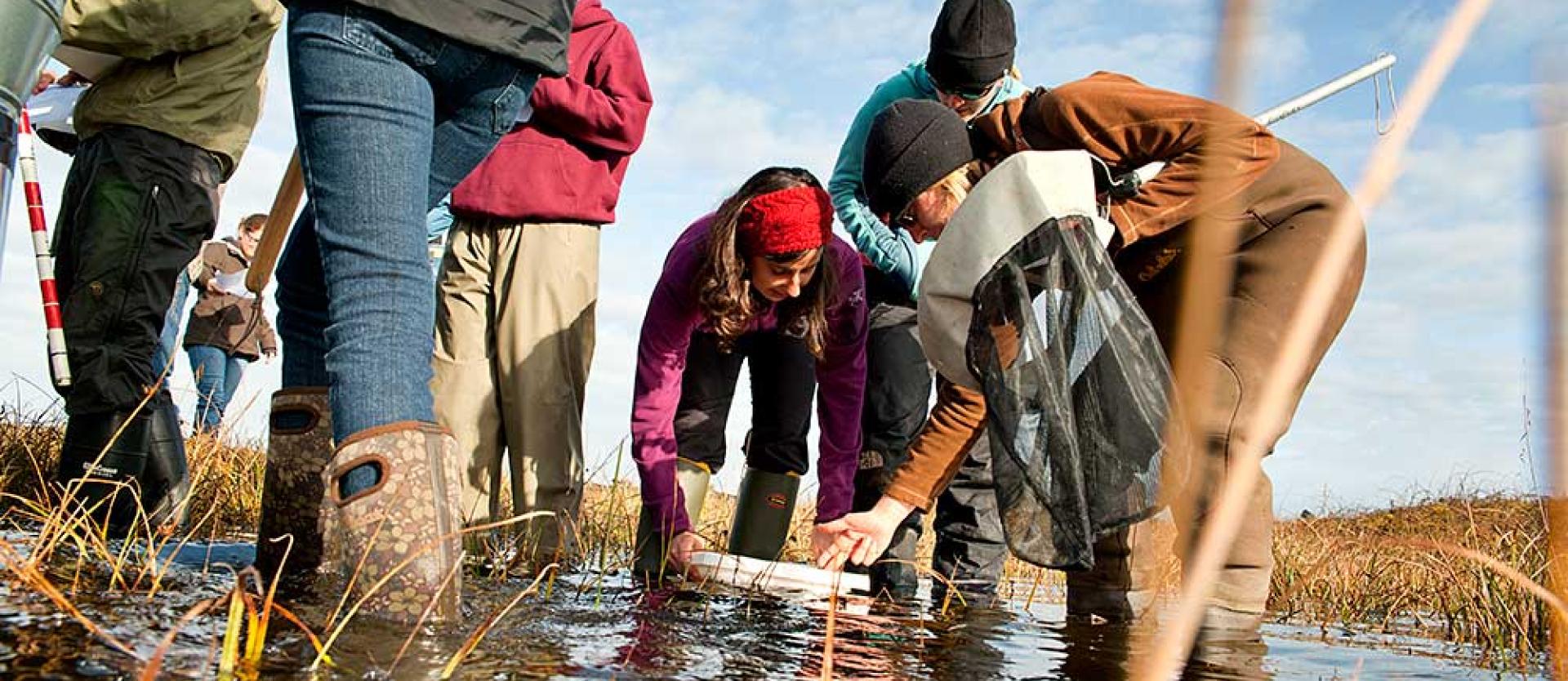 Wetland research at the Dry Lagoon