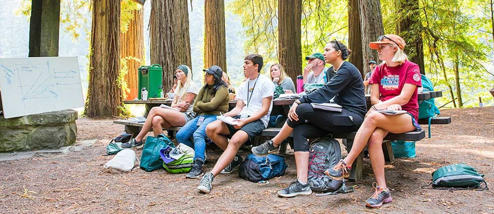 Stars to Rocks students in forest