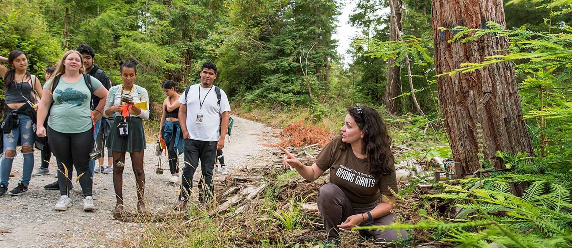 Among Giants Students in Forest