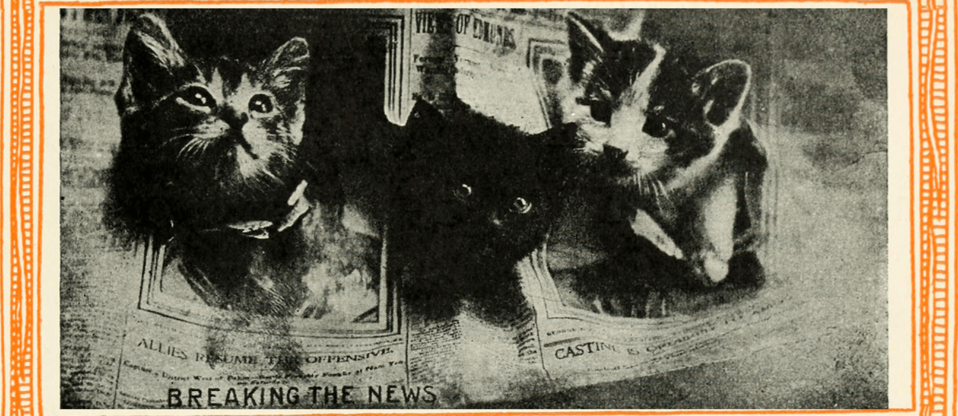 Kittens are Breaking The News - Vintage cat photo