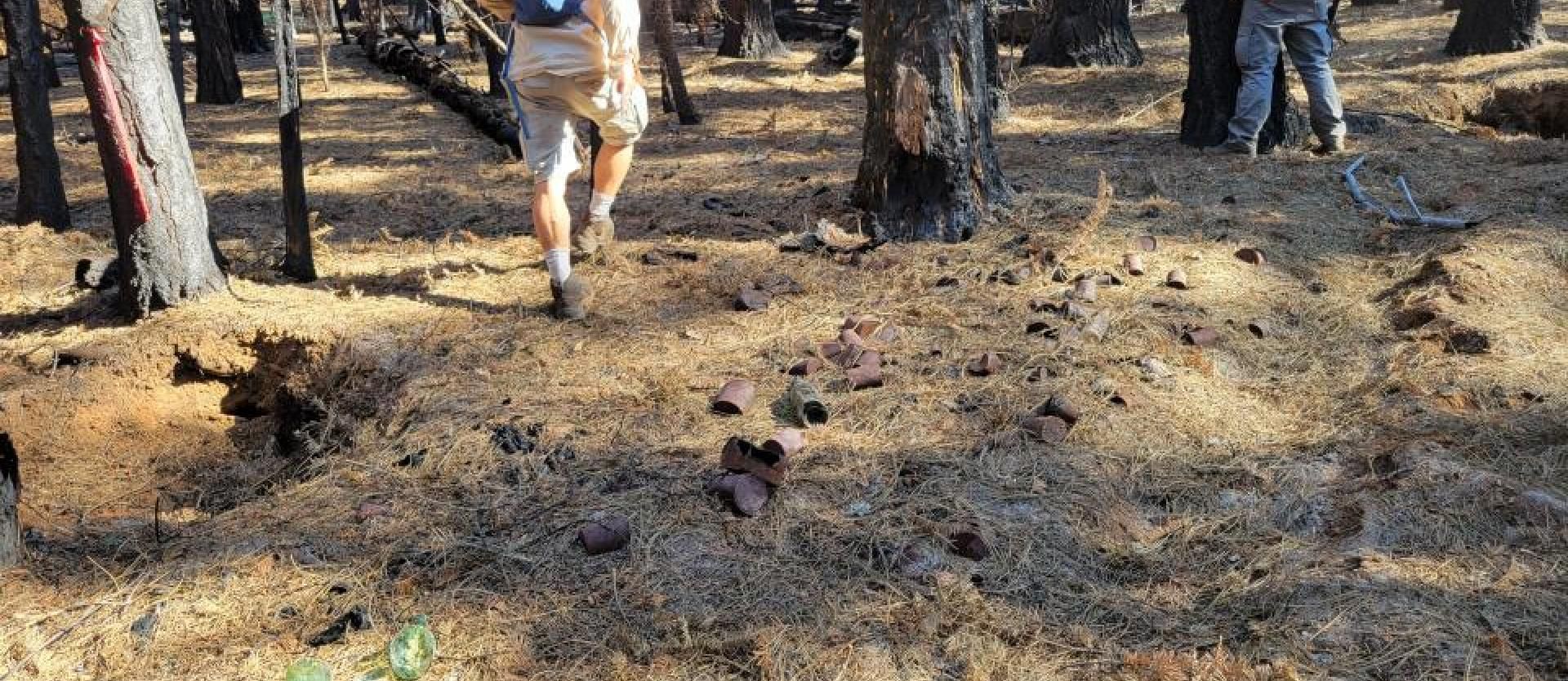Student waling around burned forest