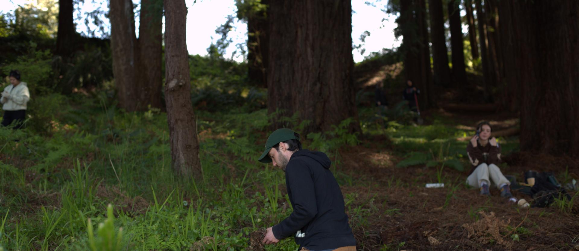 Photo of an Environmental Science Managment Student working in the Indigenous Garden on his knees tending to plants.