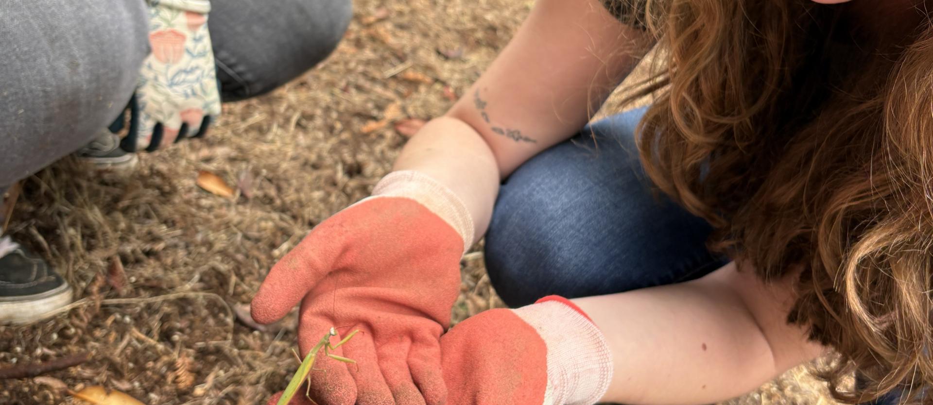 FSL Volunteer holding a Praying Mantis in their palm found in the Indigenous Garden