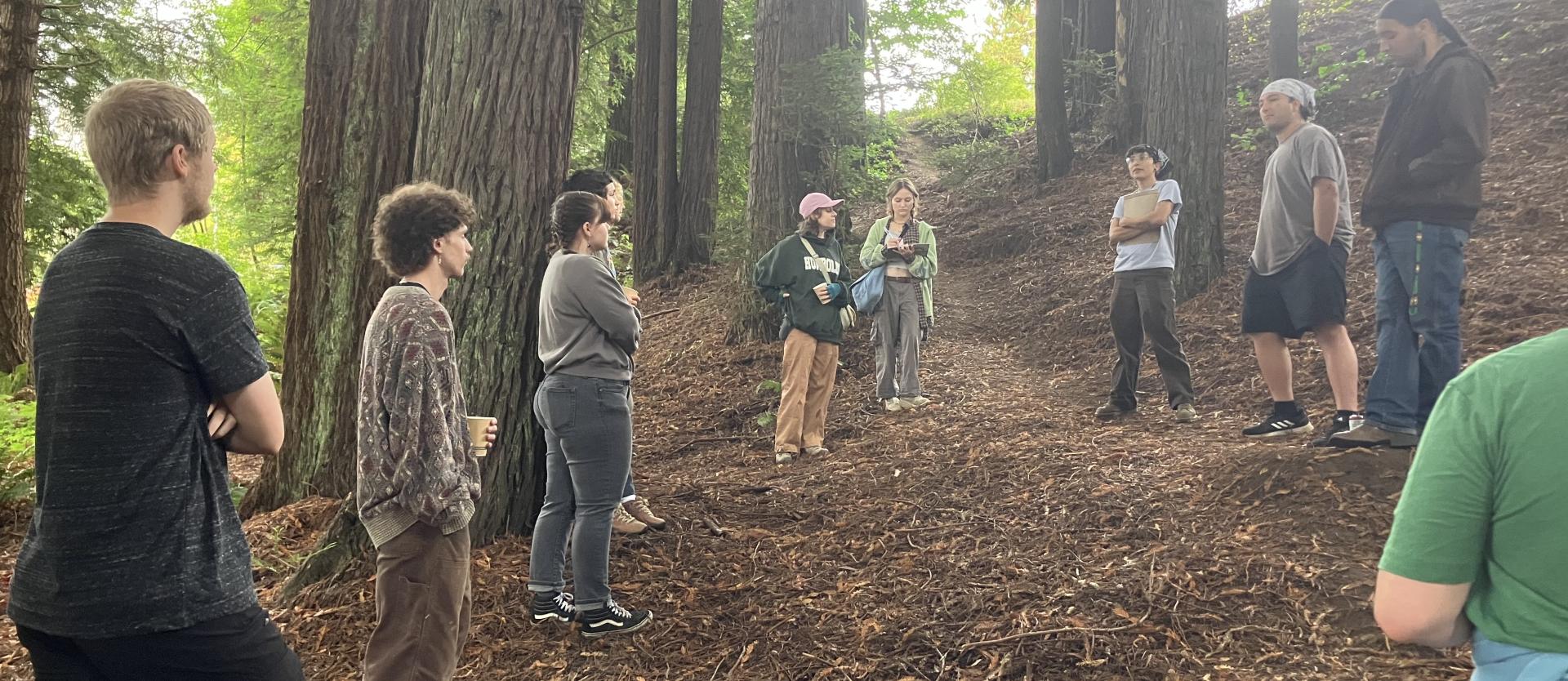 FSL Volunteers and FSL Staff in the Redwoods behind Wiyot Plaza.