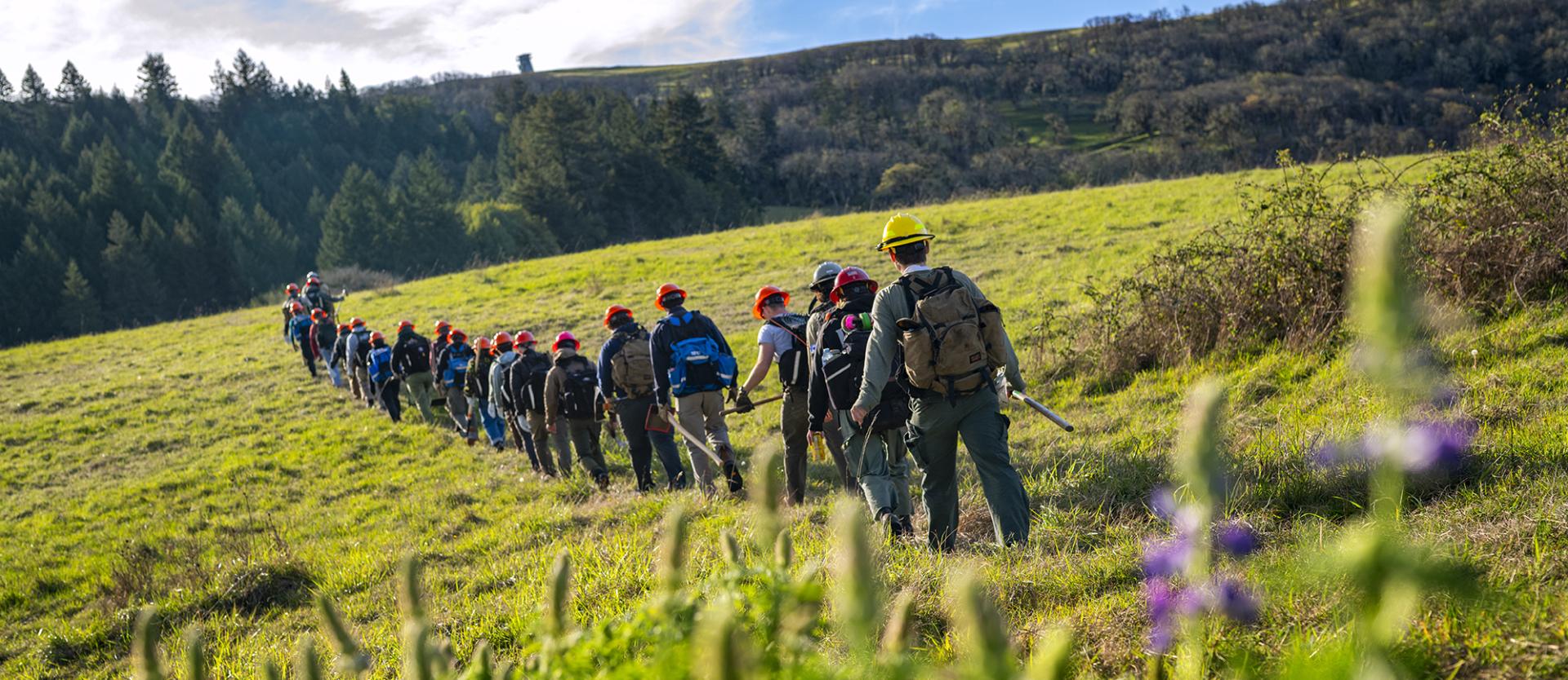 A group of MF students in the field
