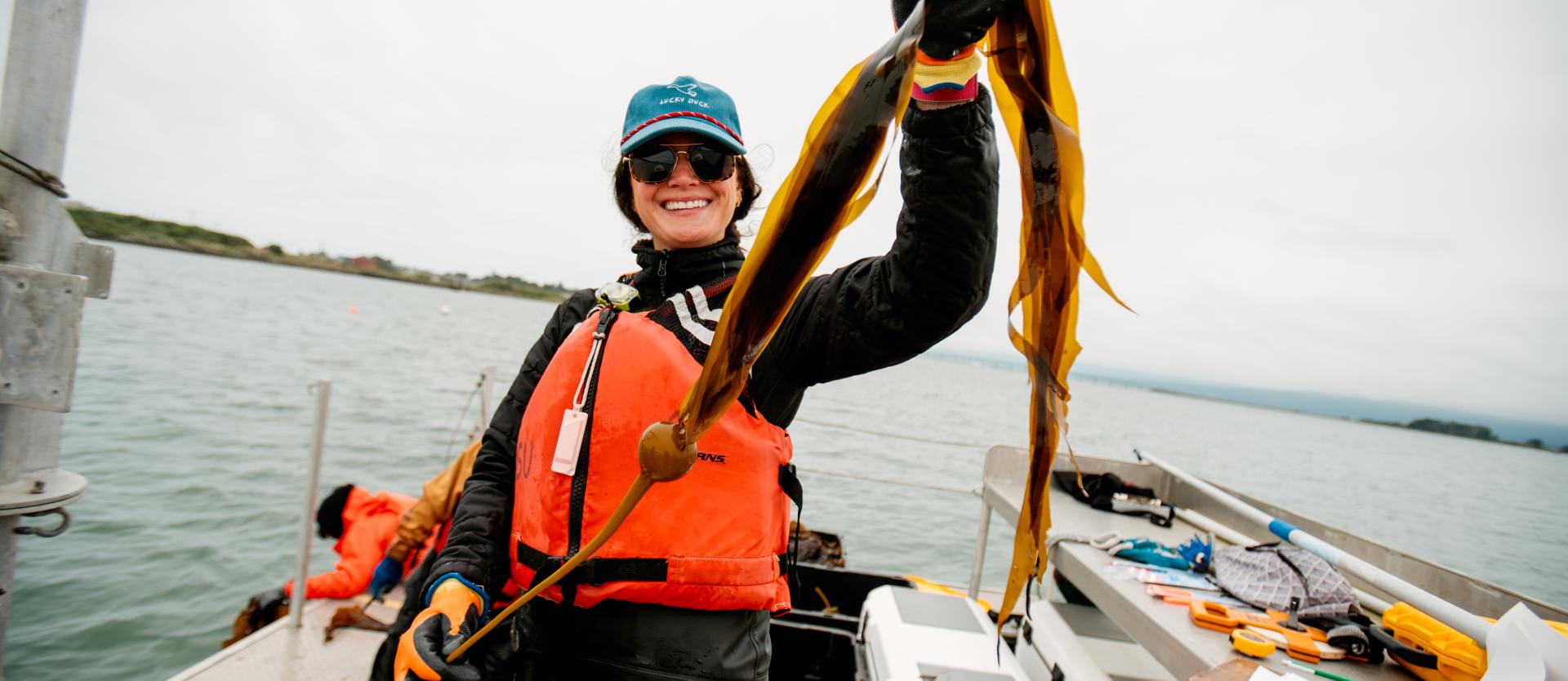 Person holds kelp in Humboldt Bay