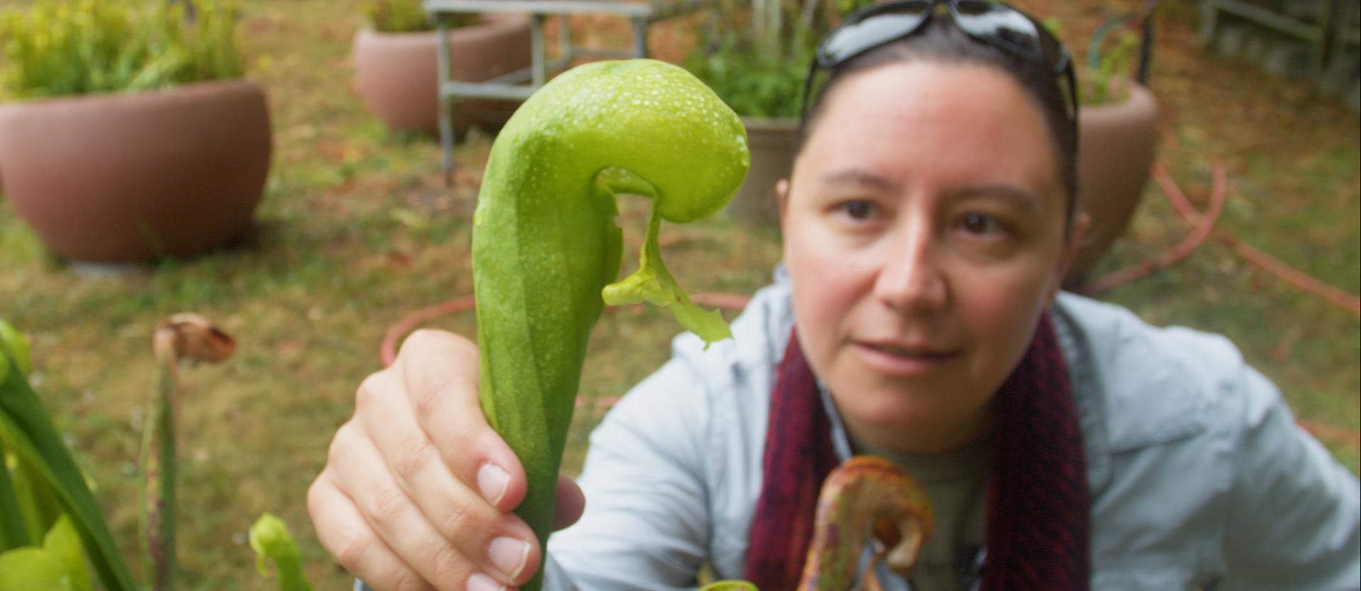 Dr. Catalina Cuellar Gempelar holds pitcher plant. 