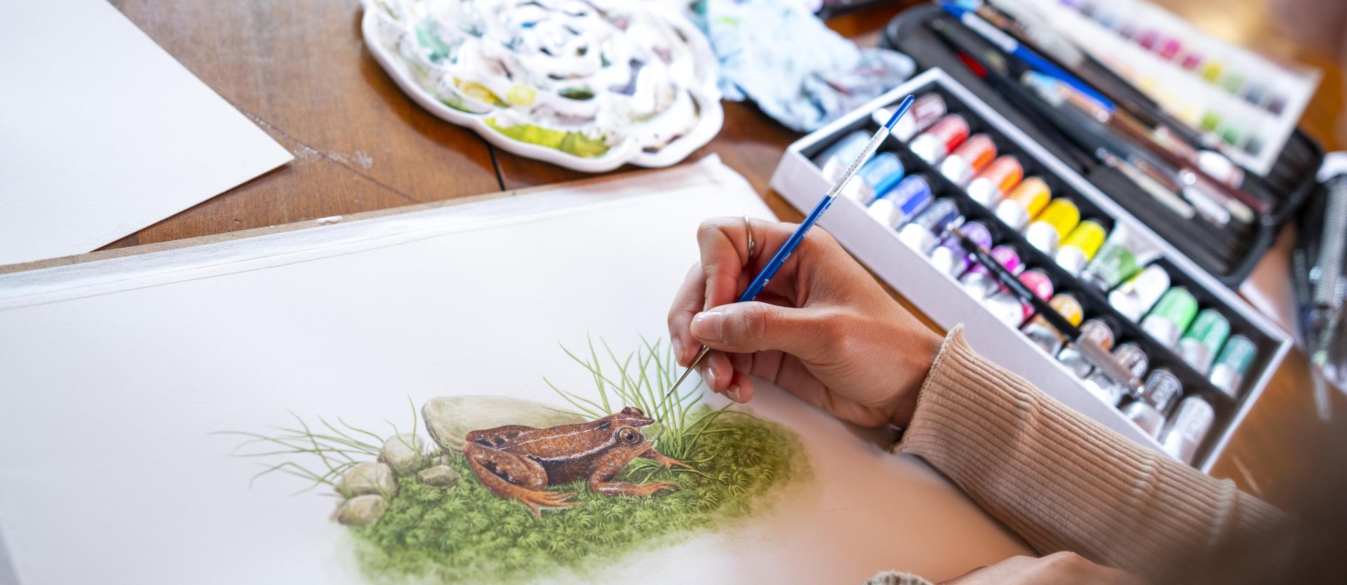 Artist-in-residence intern works on scientific illustration. 