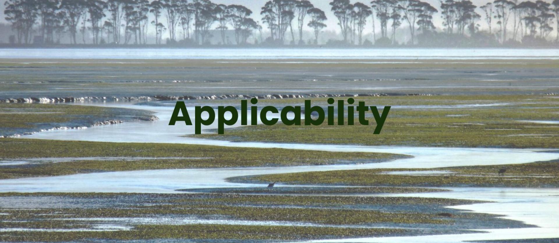 An image of a Humboldt Bay vista, wetlands and wooded islands