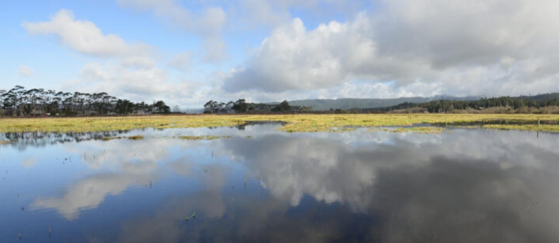 image of flooded wetlands