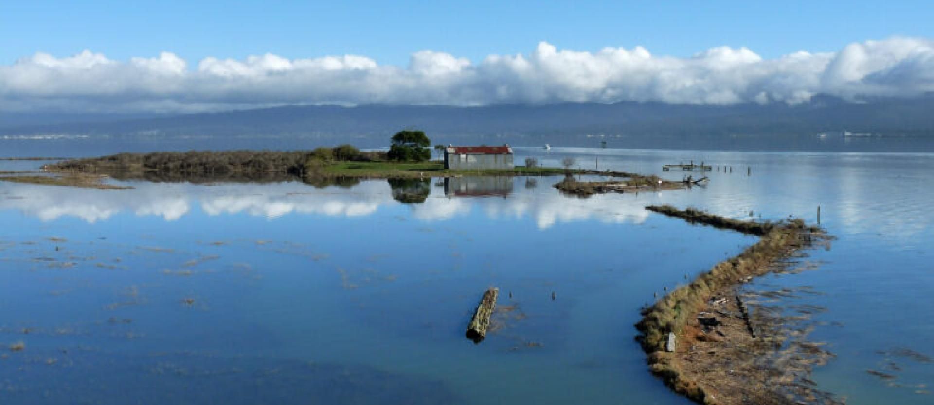 image of a flooded island in Humboldt Bay with a small structure and wood pilings present