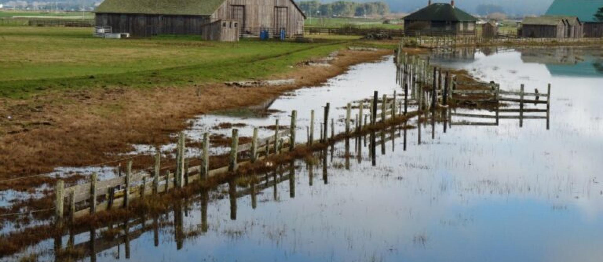 image of a flooded farm, with a dilapidated farm in the background