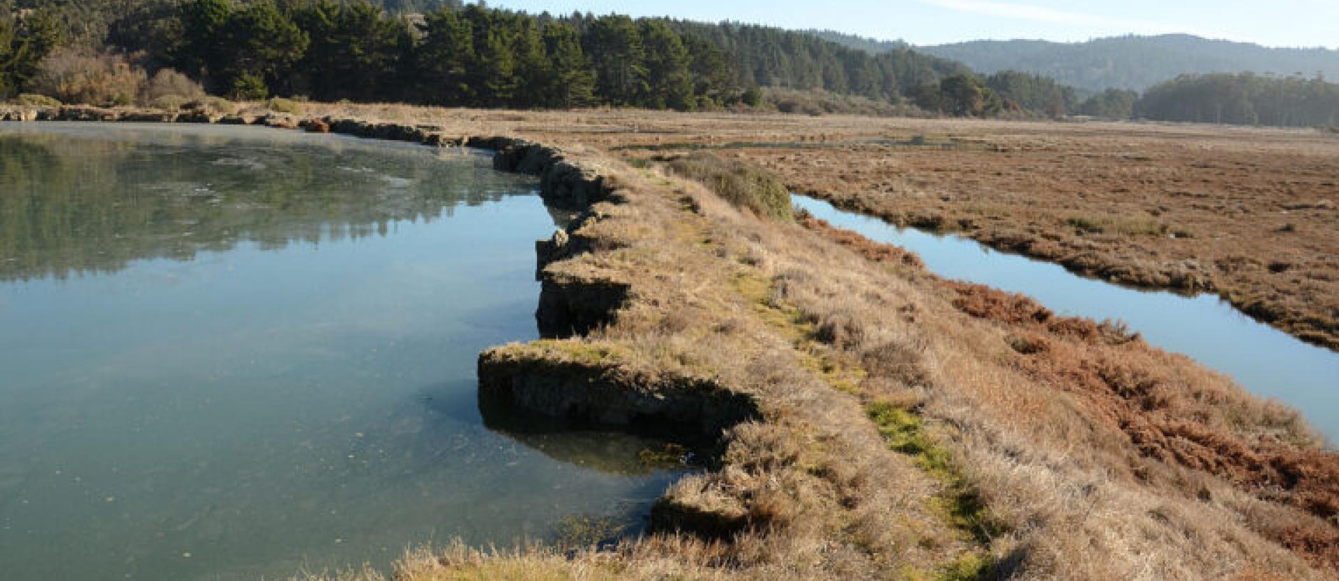 image of a water filled wetland on a sunny day