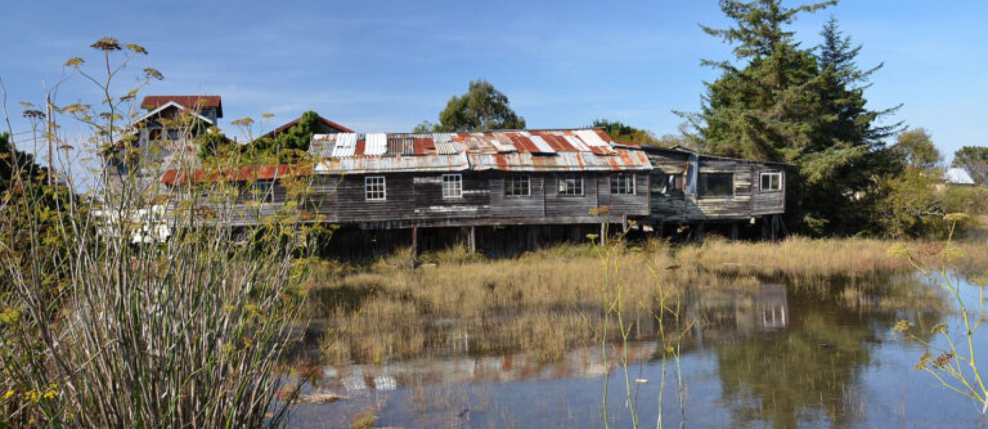image of an elevated dilapidated structure above some wetlands. 