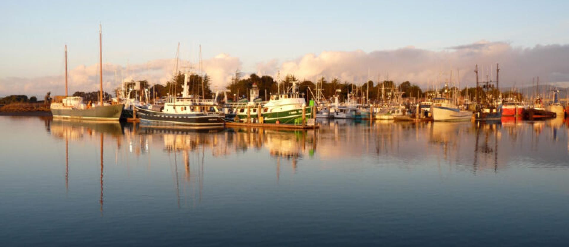 Image of docked boats at the Woodley Island harbor