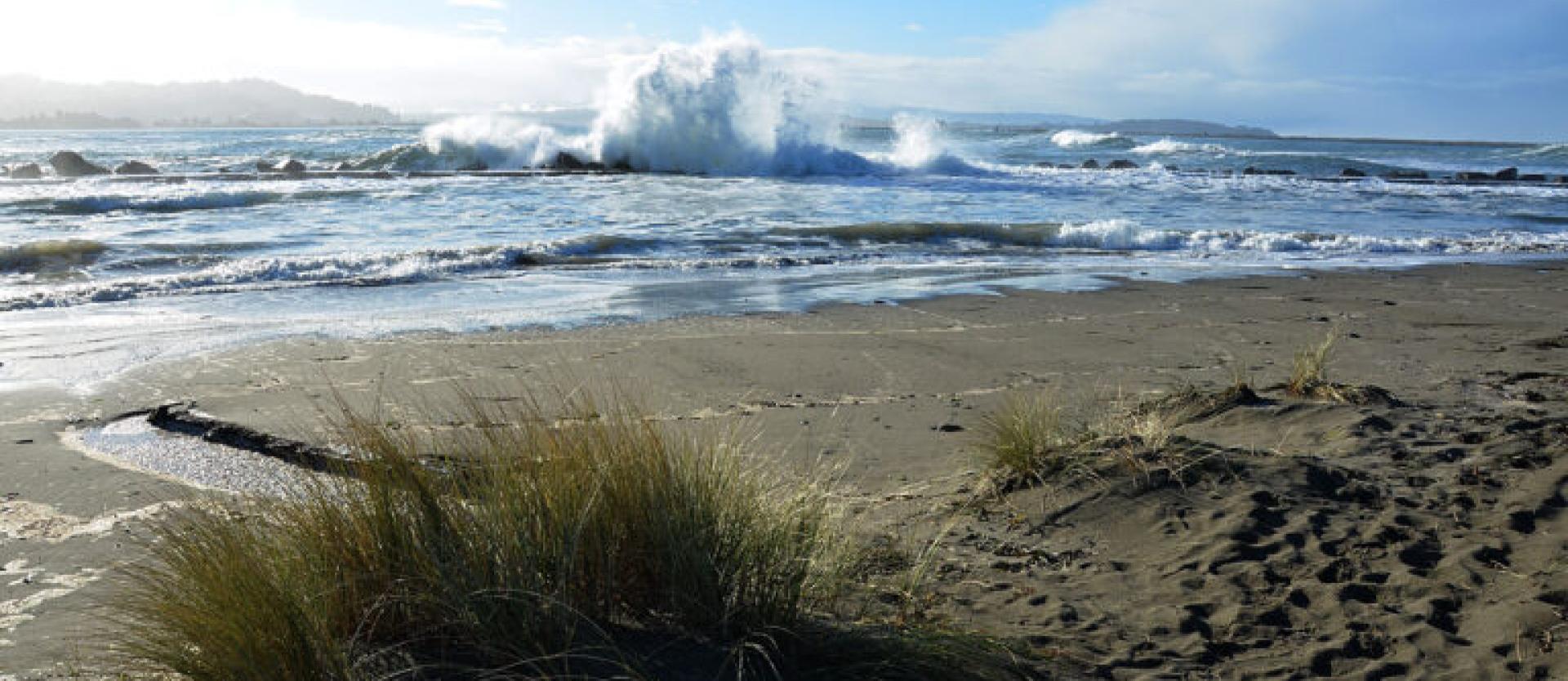 image of waves breaking on a beach