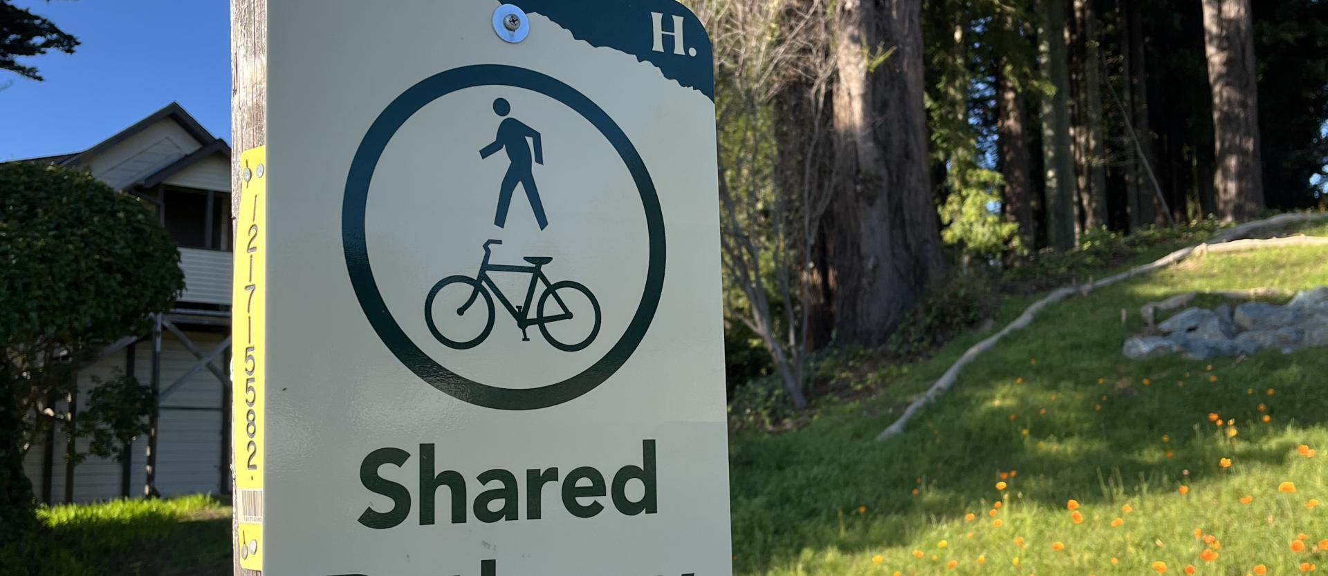 Shared Path Sign