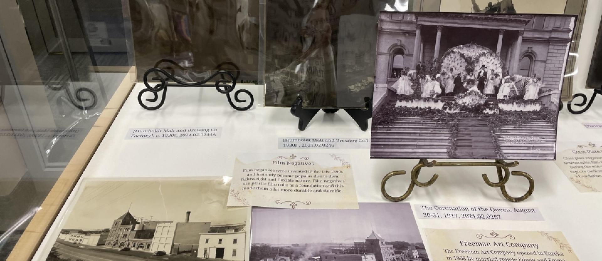 Freeman Exhibit