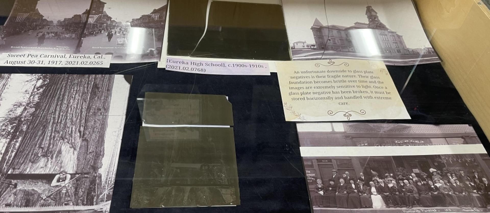 Freeman Exhibit