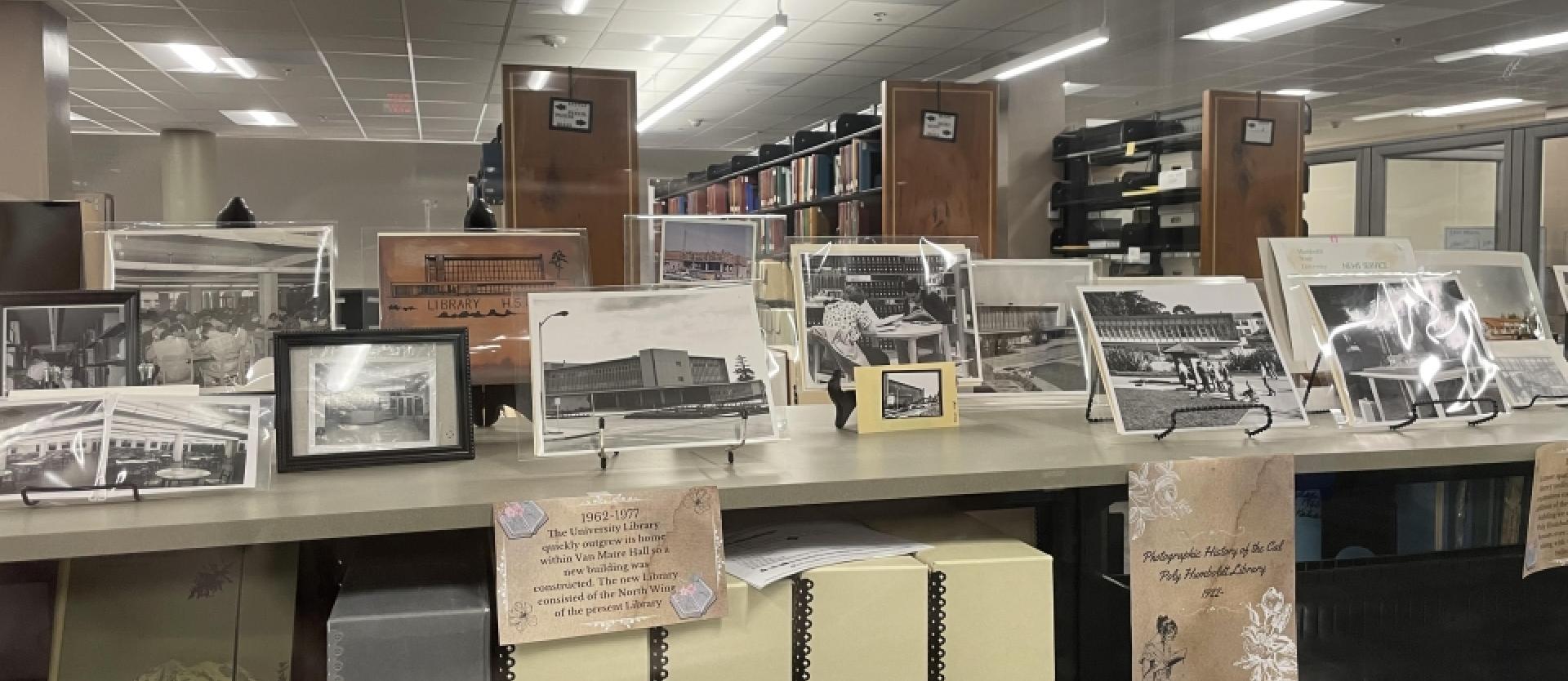 Library Display