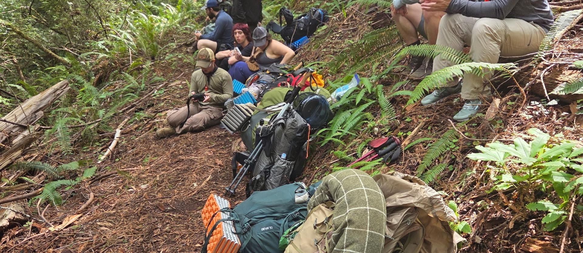 Group of backpackers sitting on the forest trail relaxing for a lunch break.