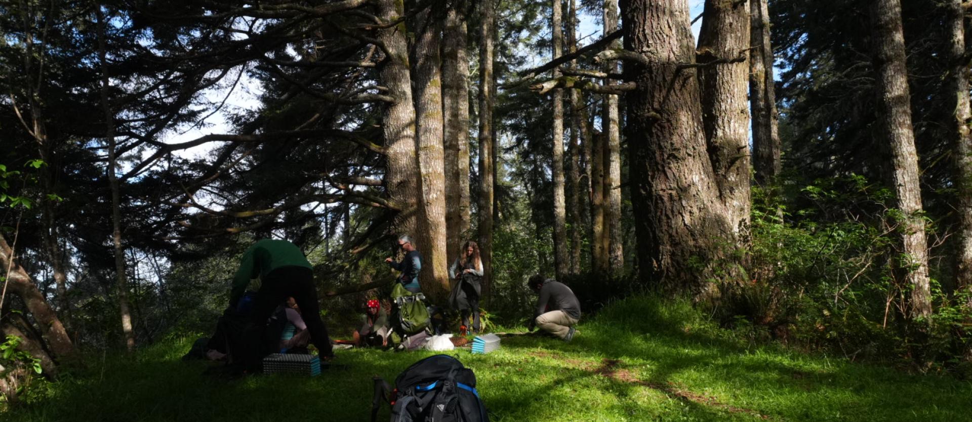 Setting up camp in a shaded clearing.