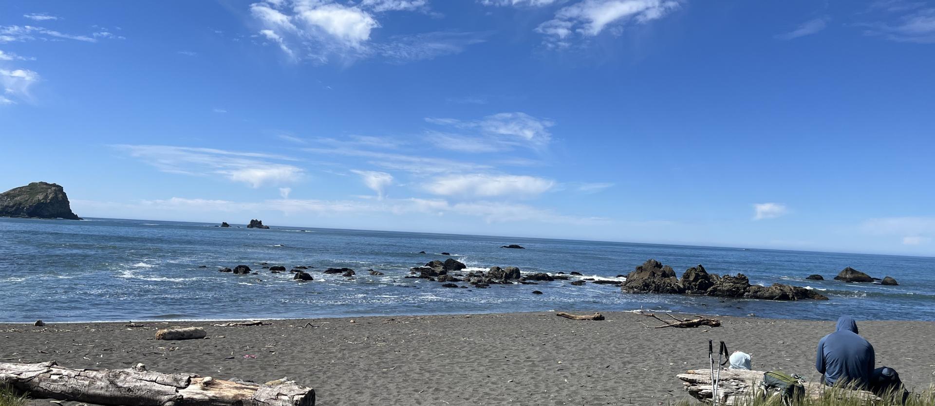 DeMartin Beach Picnic Area