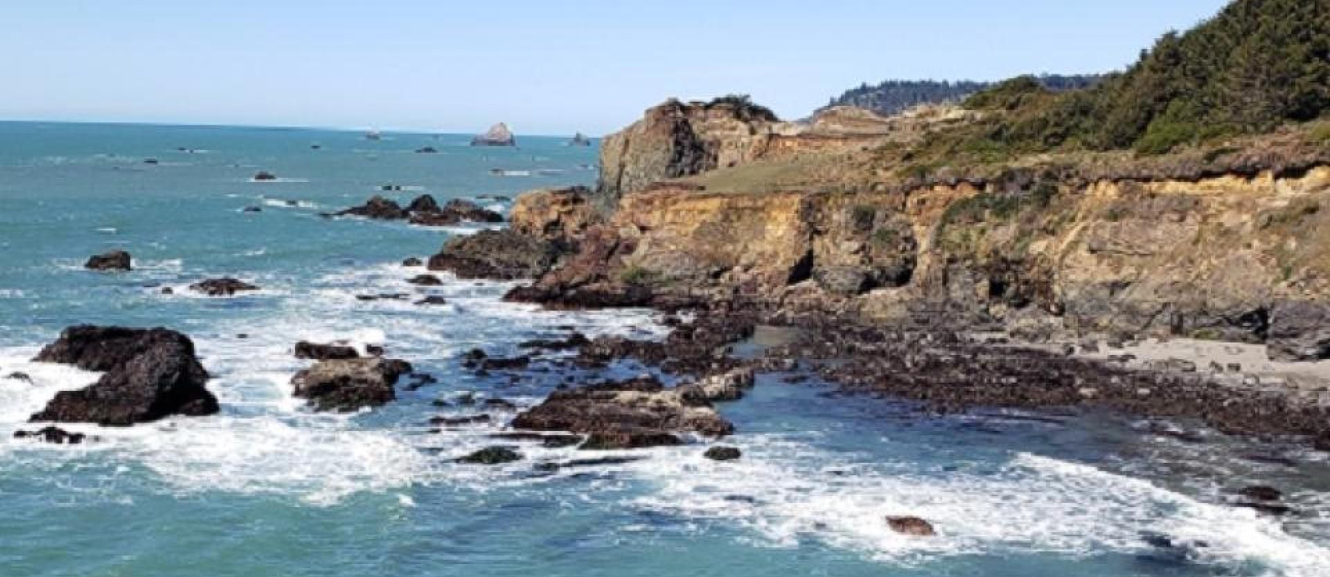 FOR MEDICAL APPOINTMENTS CALL 707.826.3146