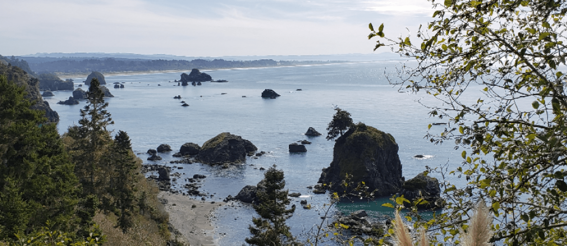 CAPS: GROUPS AND WORKSHOPS