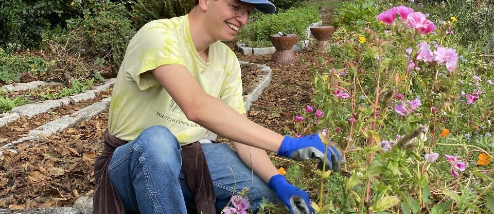Weeding the native herb garden