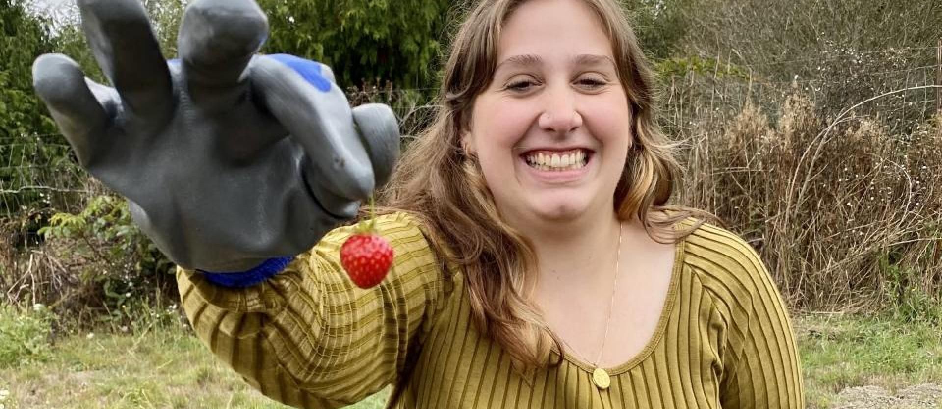 Strawberry harvest delights