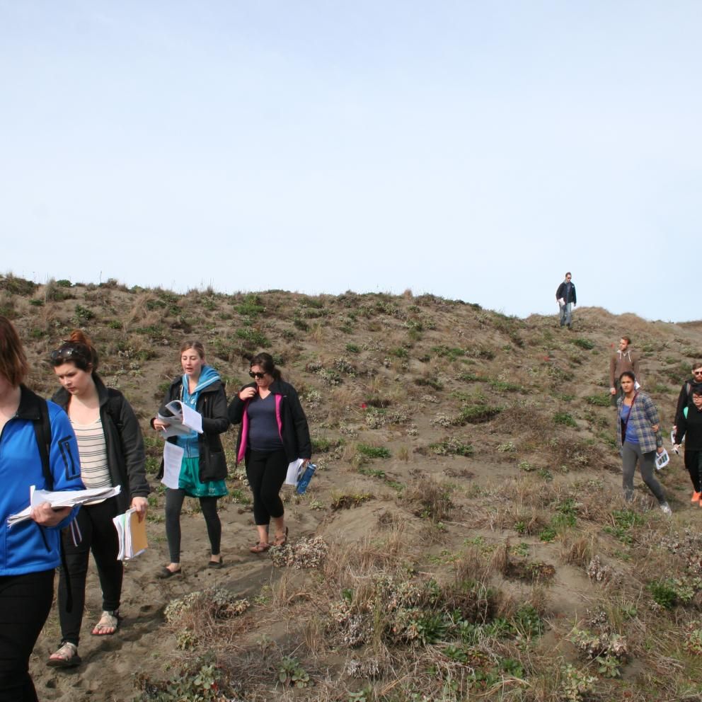 Dune Ecosystems