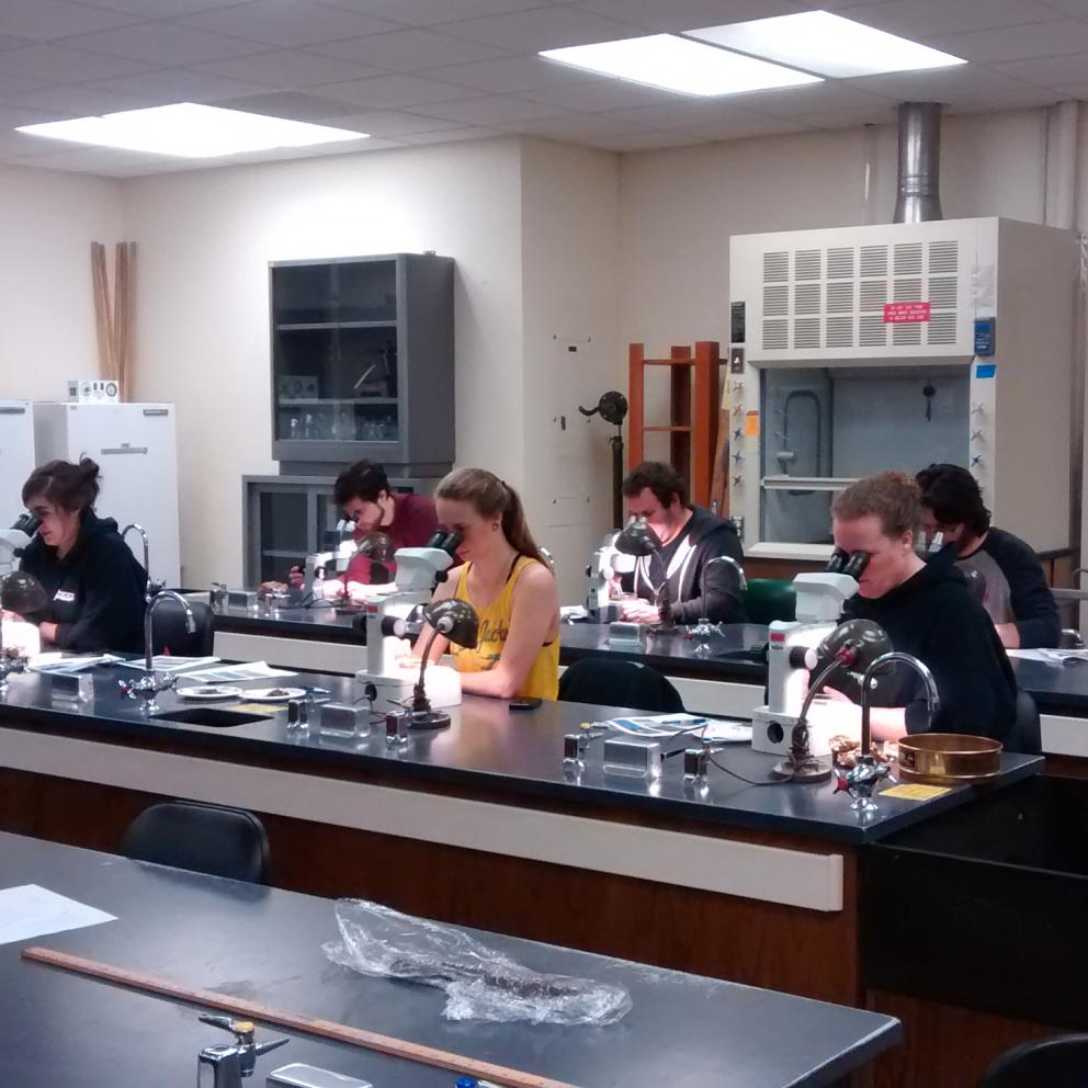 Students in lab