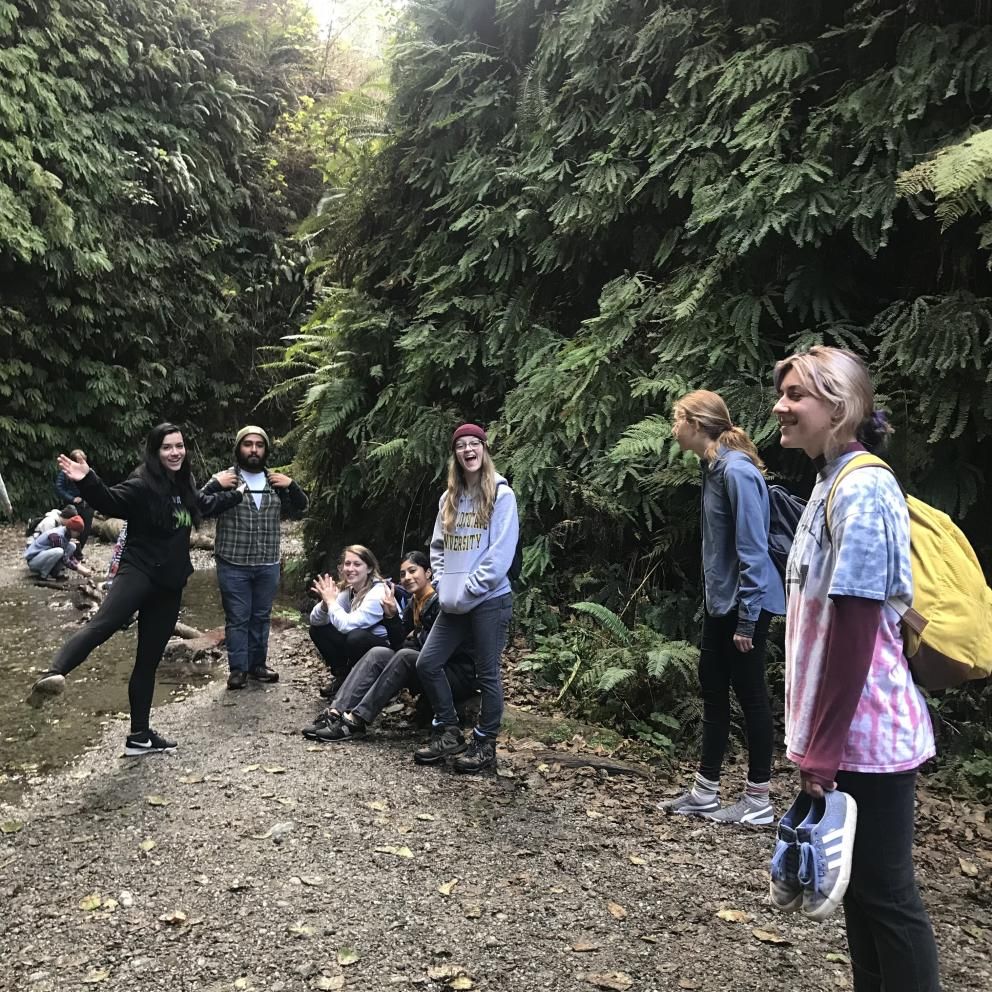 Fern Canyon