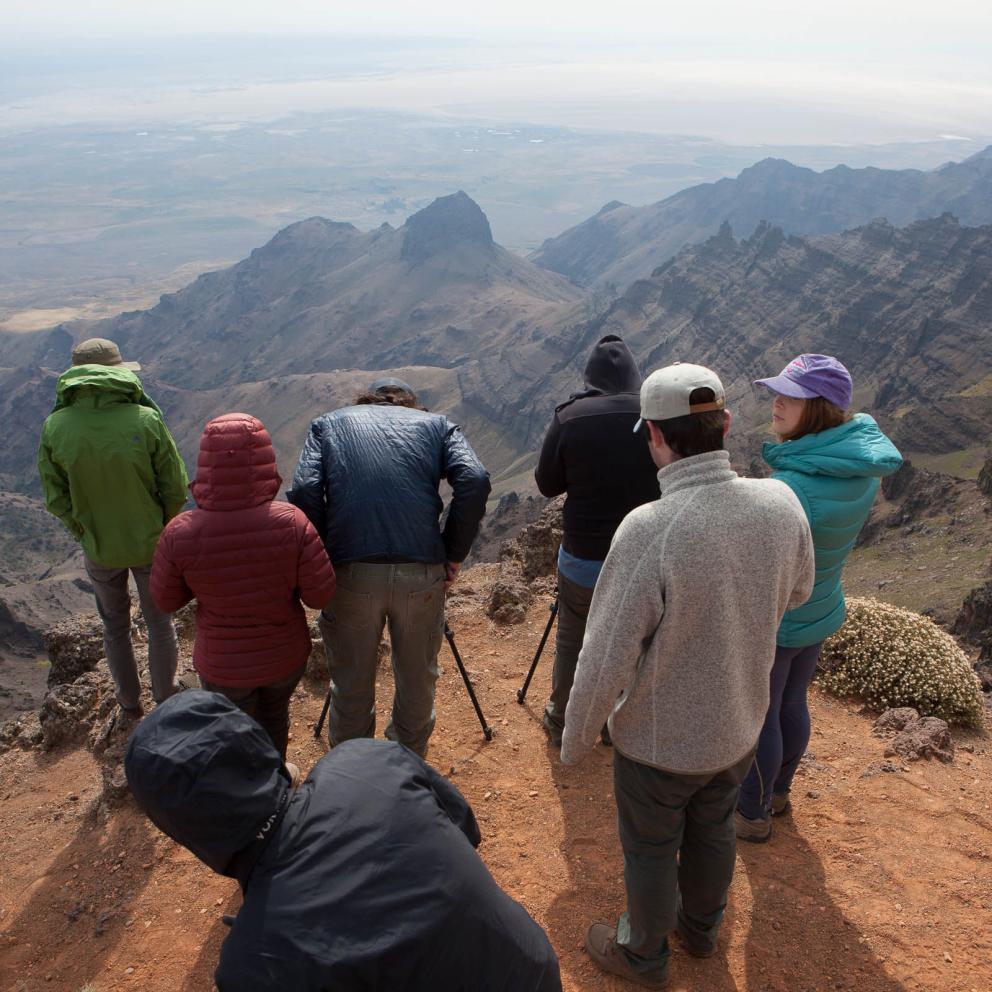 Steens