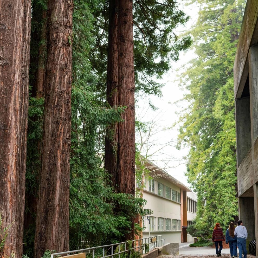 trees near and science A