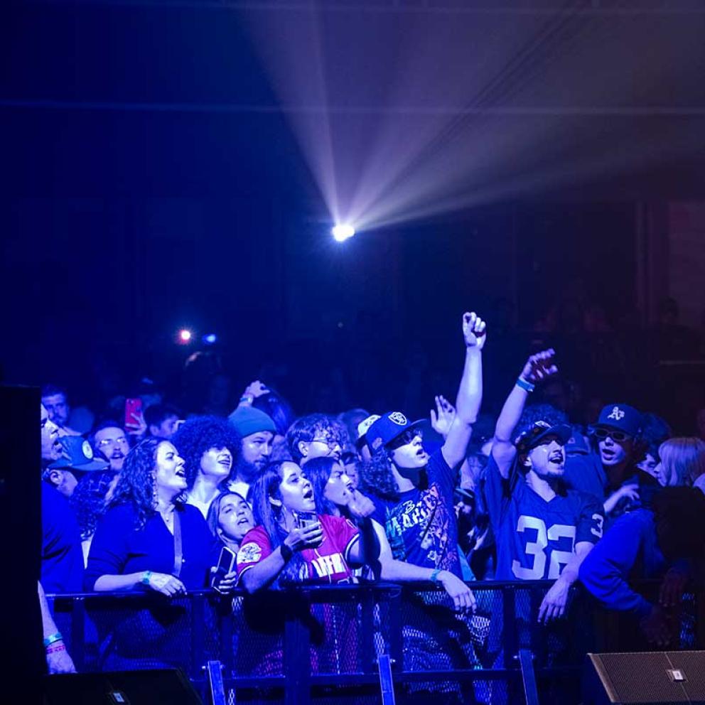 Concert attendees