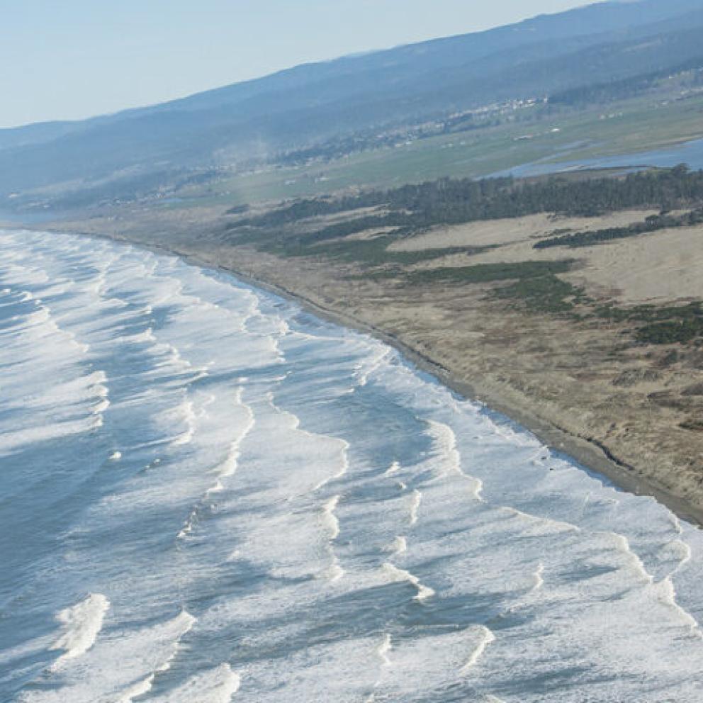 aerial image of waves going towards the shore