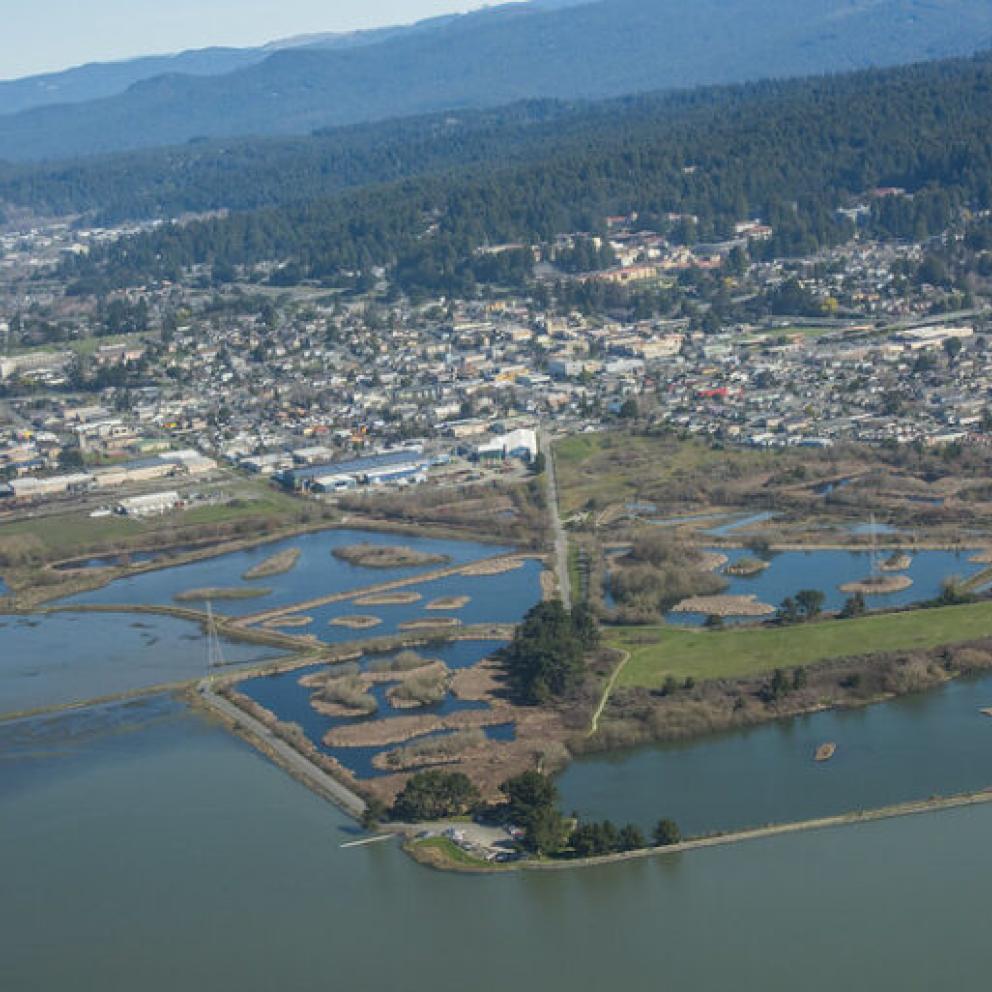 aerial image of wetlands and an urban landscape