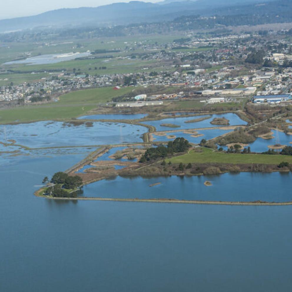image of wetlands and shoreline and an urban landscape