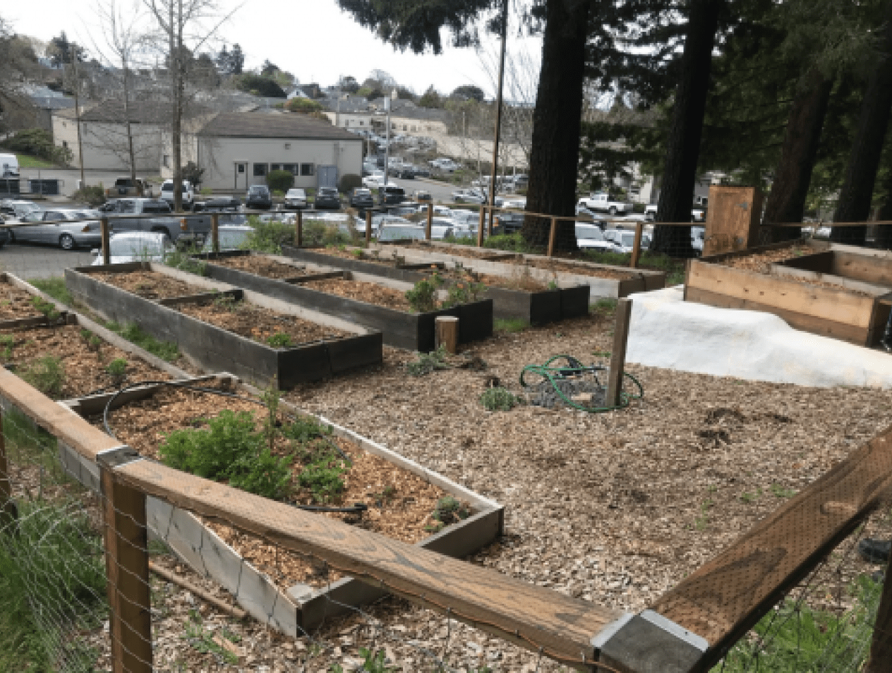 Welcome to the Community Garden!