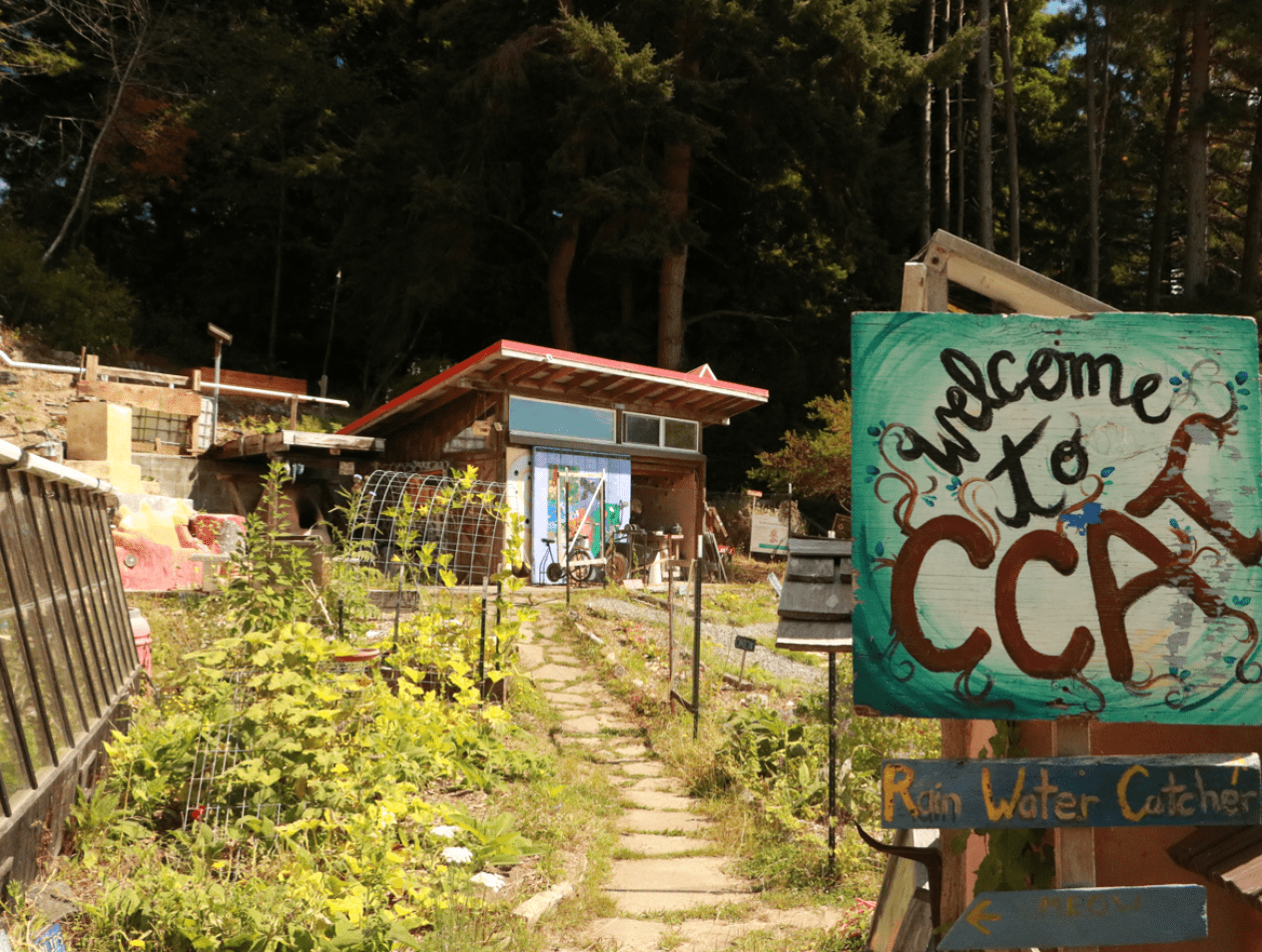About CCAT