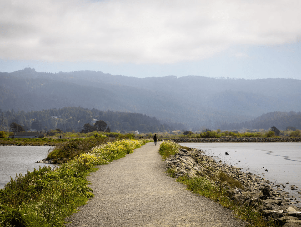  California Center for Rural Policy (CCRP)