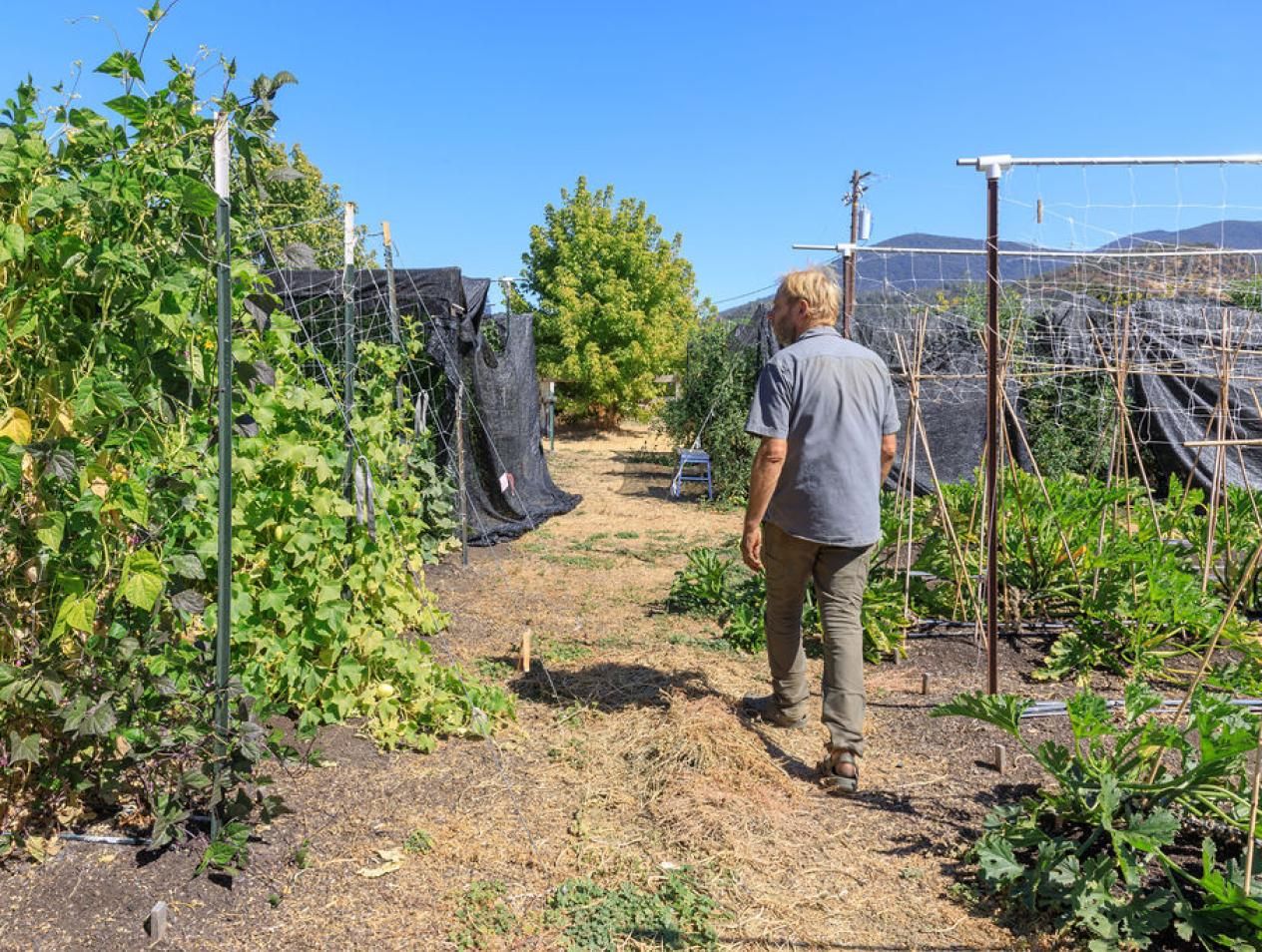 Food, Fiber, and Farm Projects