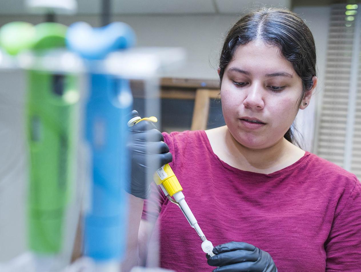 STEM Pathways and Research Alliance